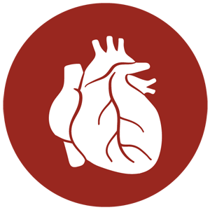 Программа лечения: Здоровое сердце каждому