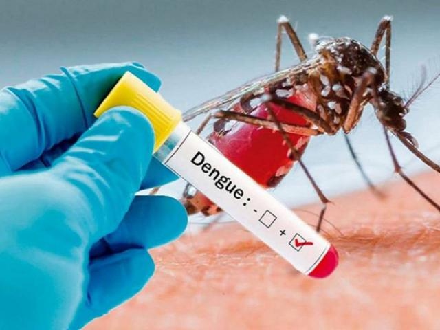 В Таиланде участились случаи лихорадки денге